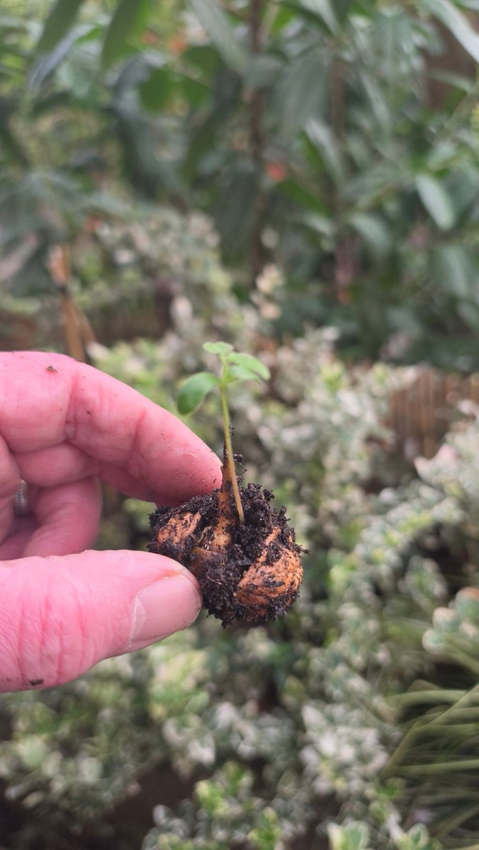 Etienne Turner tweet media