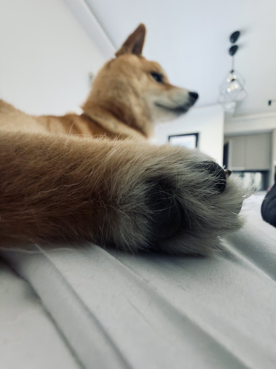 The toxic avenger tweet media