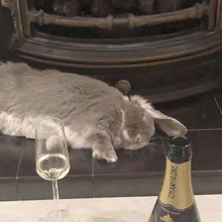 🍀🔞 tweet media