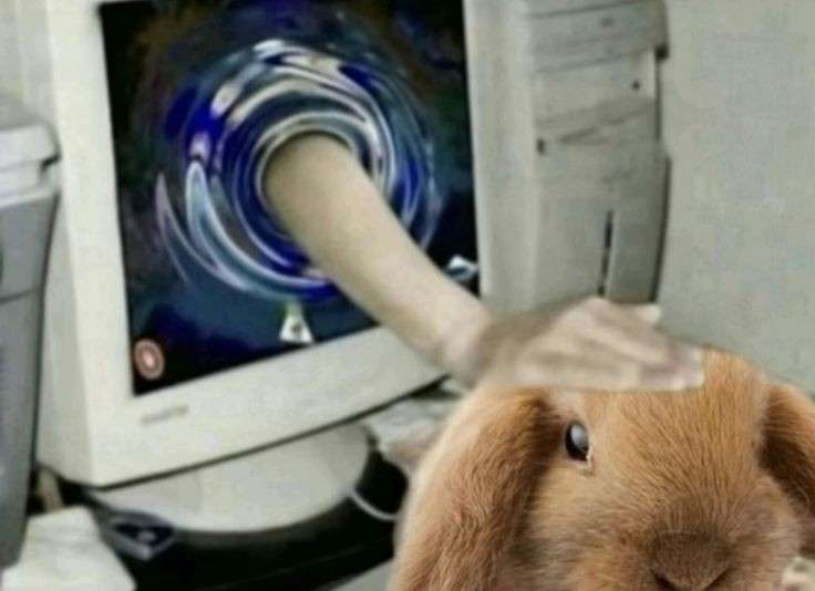 🍀🔞 tweet media