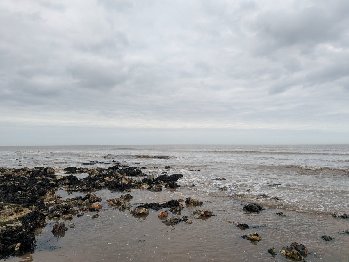 ForestSchoolCat tweet media