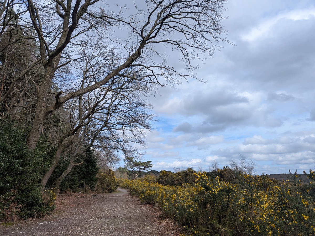 ForestSchoolCat tweet media