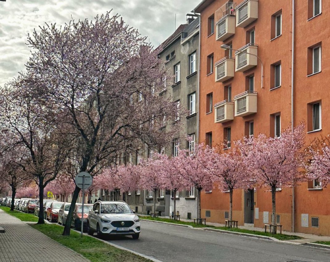 Krzysztof tweet media