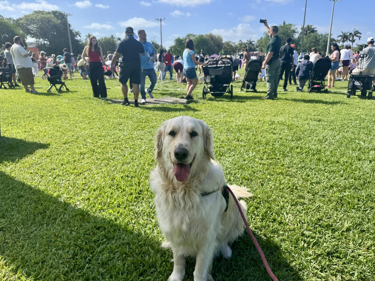 OscarTherapyDog's tweet image. Today we attended a Easter Egg hunt in  Dania Beach. Had lots of fun watching everyone trying to find the eggs. Best part is we made some new friends. #firstresponderspack #bsofr #southflorida #giveback #makeadiﬀerence