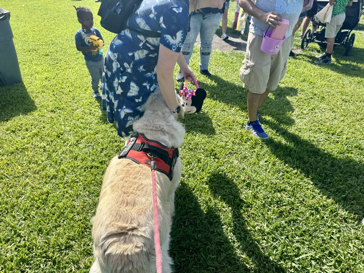 OscarTherapyDog's tweet image. Today we attended a Easter Egg hunt in  Dania Beach. Had lots of fun watching everyone trying to find the eggs. Best part is we made some new friends. #firstresponderspack #bsofr #southflorida #giveback #makeadiﬀerence