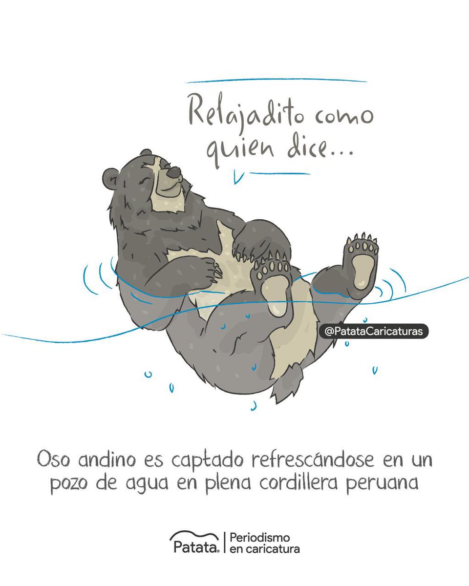 Patata Caricaturas tweet media