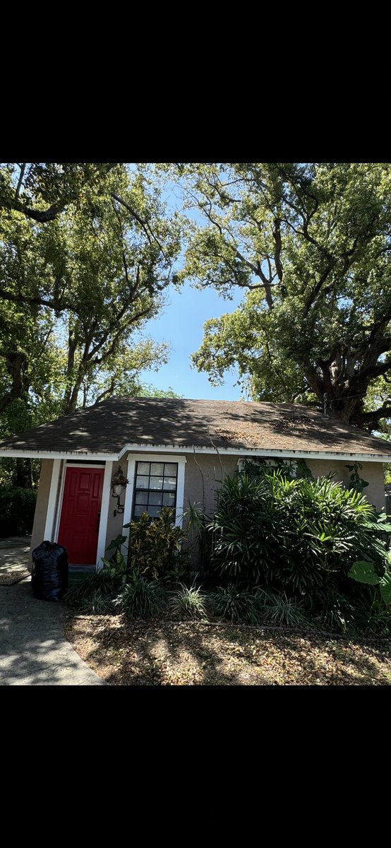 CodGolds's tweet photo. This house was covered in dirt, algae, and buildup… now it looks BRAND NEW 🧼✨

✔️ Roof Soft Wash
✔️ House Wash
✔️ Driveway Cleaning

Safe, low-pressure cleaning = no damage, just results.

If your home looks like the “before”… I can fix it.

📍 Tampa / Brandon / Valrio https://t.co/tGPvjrL8I1