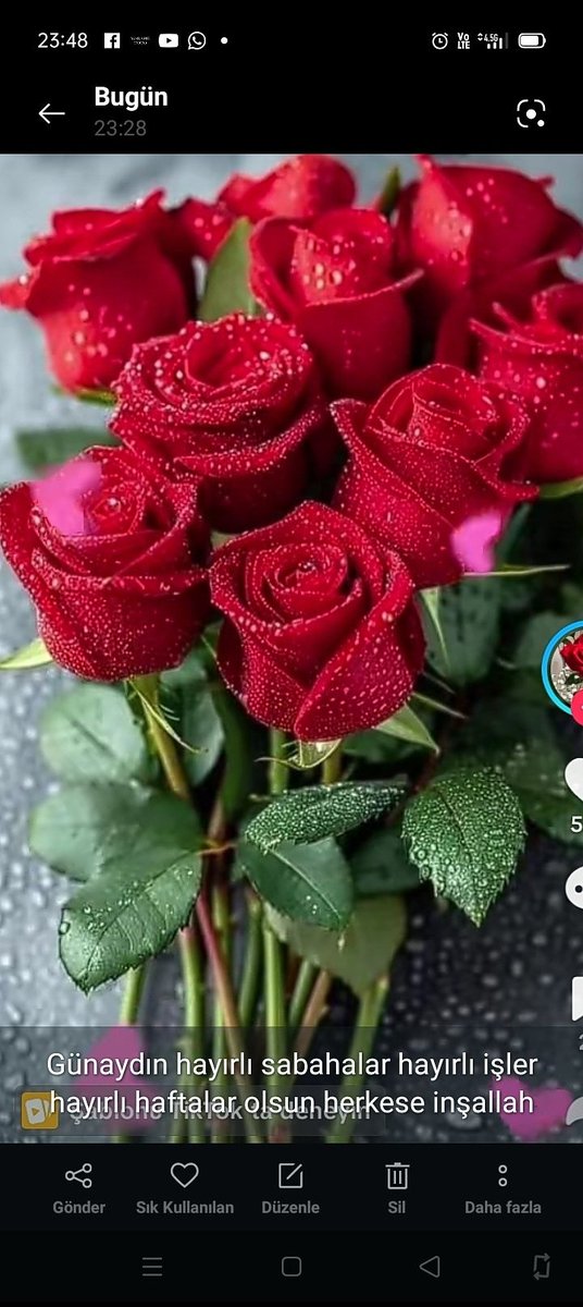 Fuat Kabak tweet media