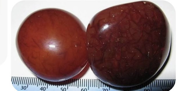 ⚜️Big Breaux⚜️ tweet media