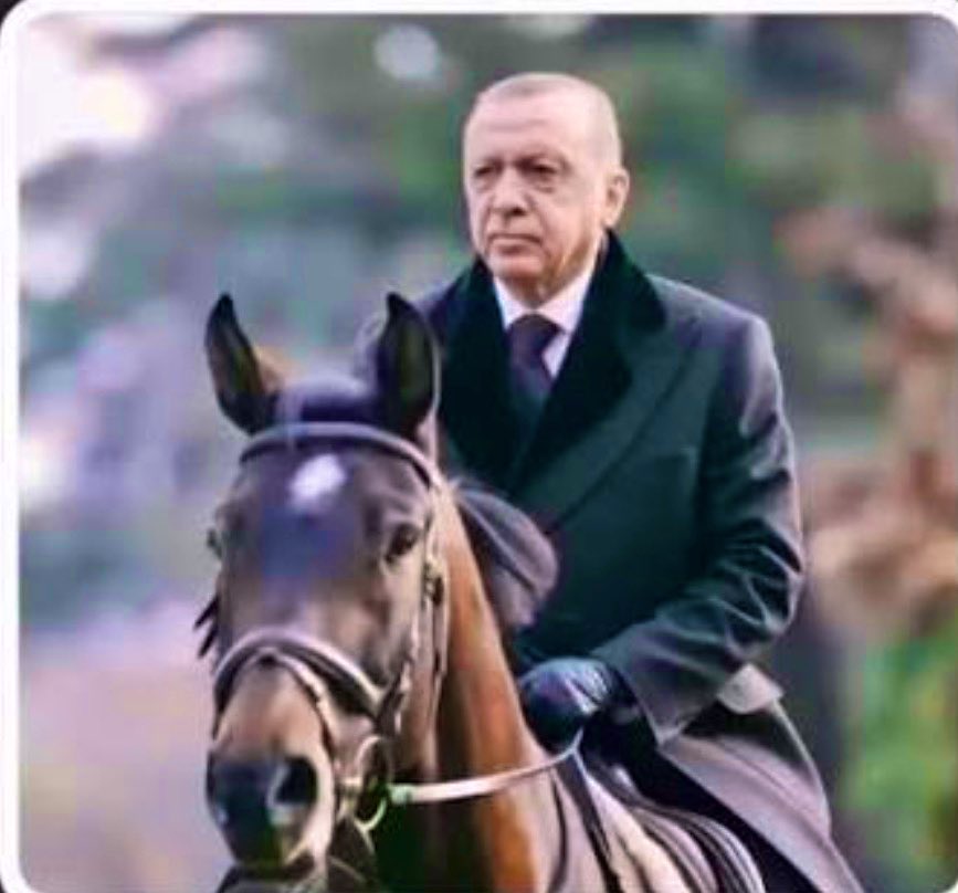 Murat Aslan 🇹🇷 tweet media