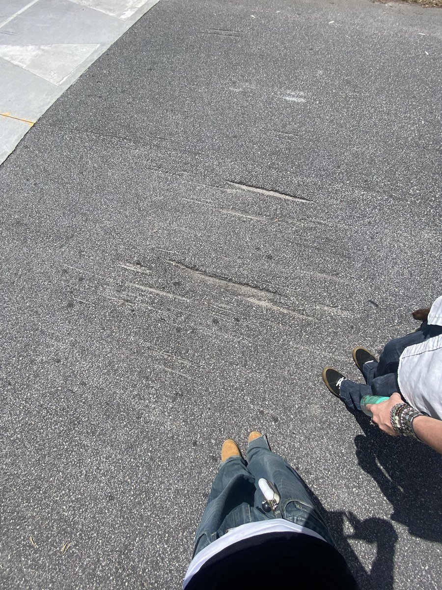 x // shedtwt tweet media