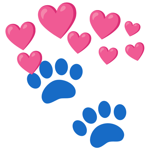 💙#RANGERCAT P J S M 💛 🌻 tweet media