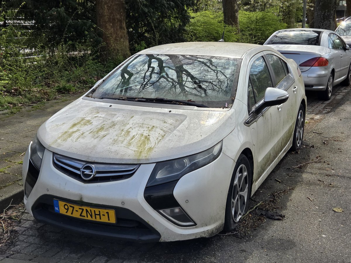 Feyenoord Till I Die tweet media