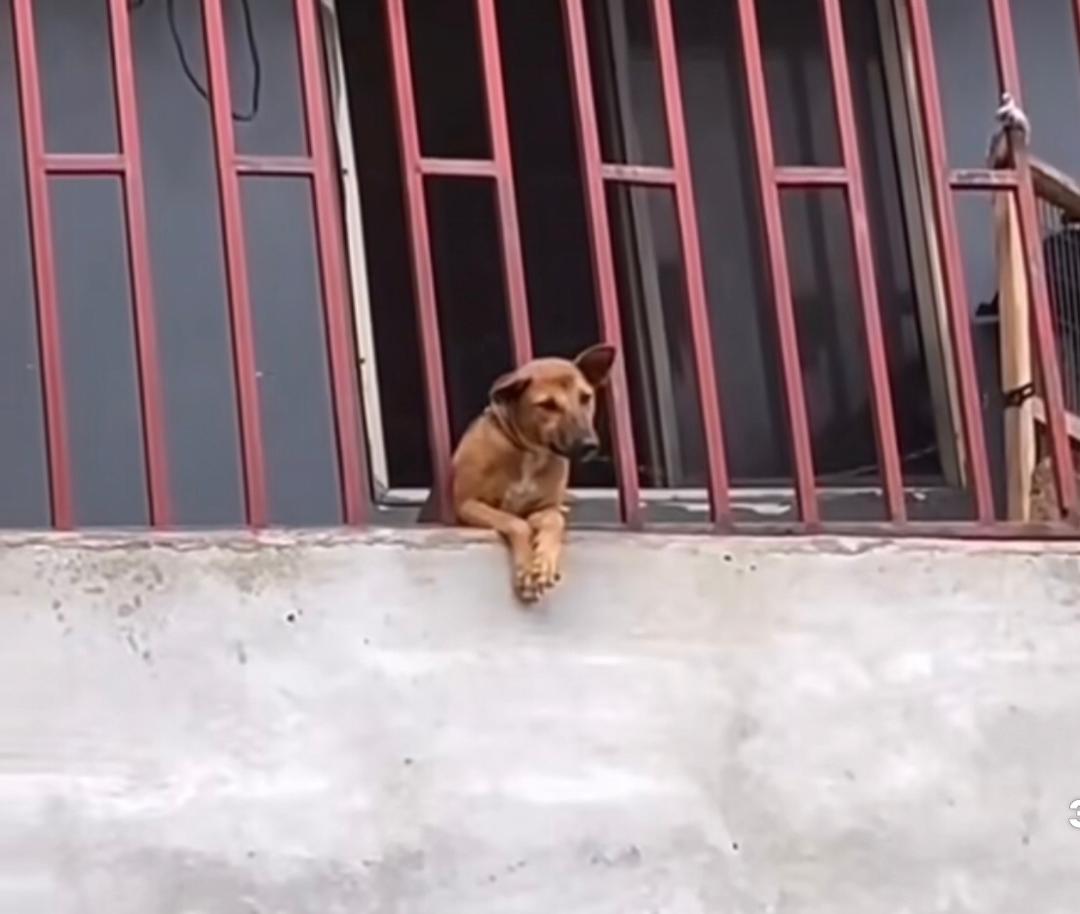 Goodness Cyril ☂️ tweet media