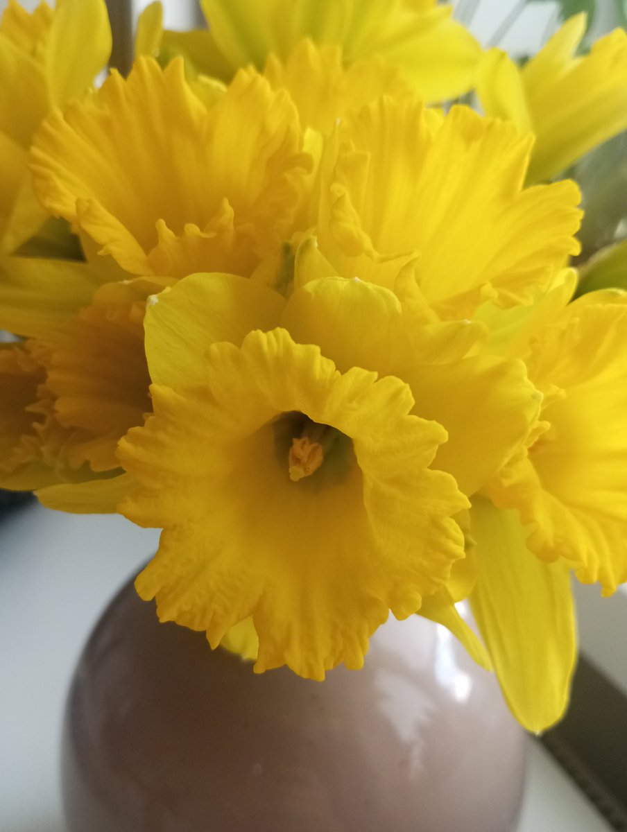 Fifarafa tweet media