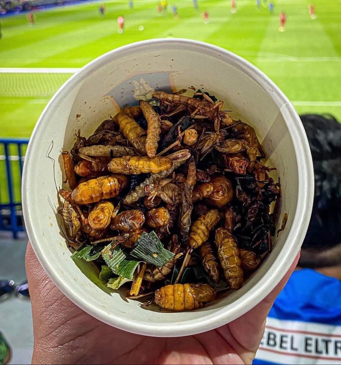 Sports Scran tweet media