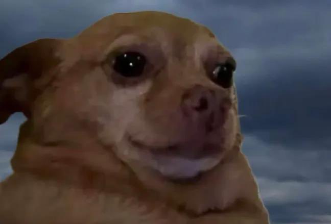 Damilola 💖🌹 tweet media