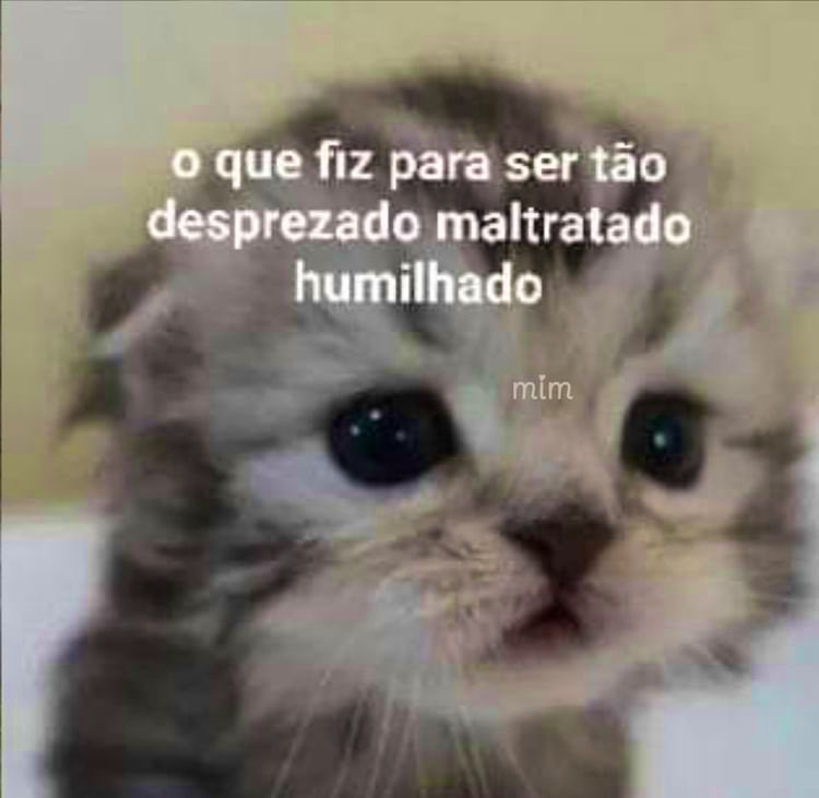 willwill tweet media