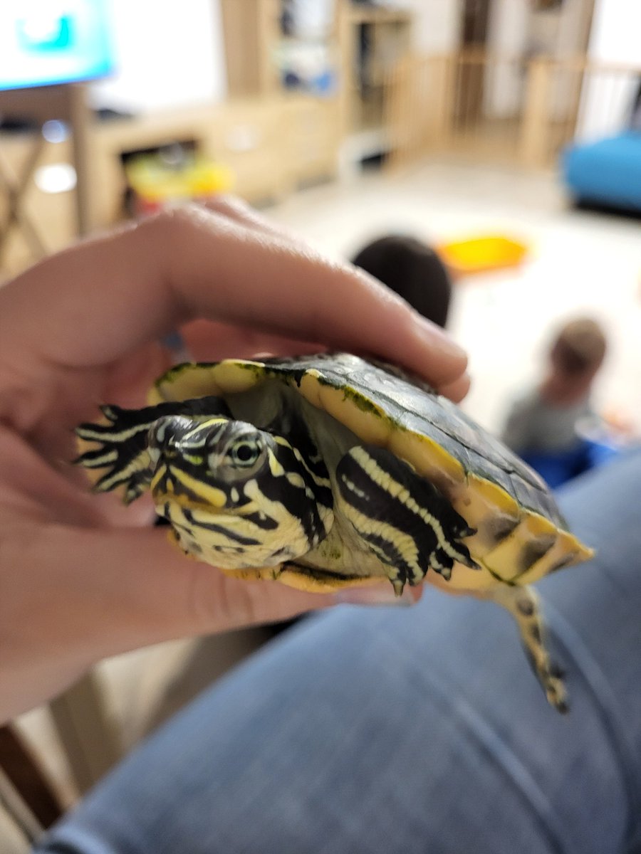 F: TY 🦁💖 + JAH. 🦁 tweet media