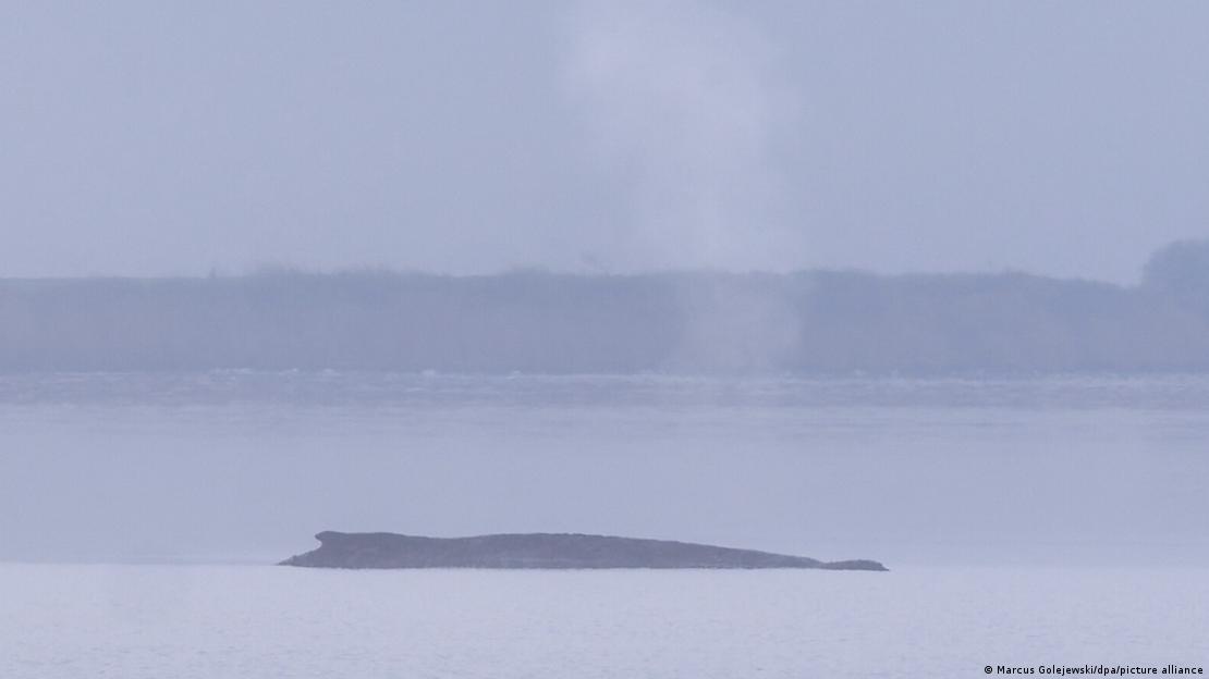 DW на русском tweet media