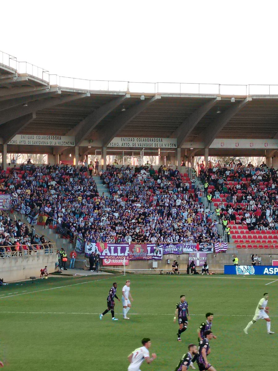 tebas tu raza tweet media