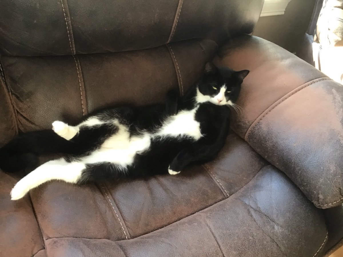 🇻🇦Yapman ⚜️🌷 tweet media