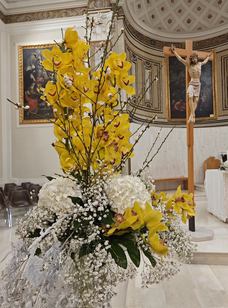 don Tonio tweet media