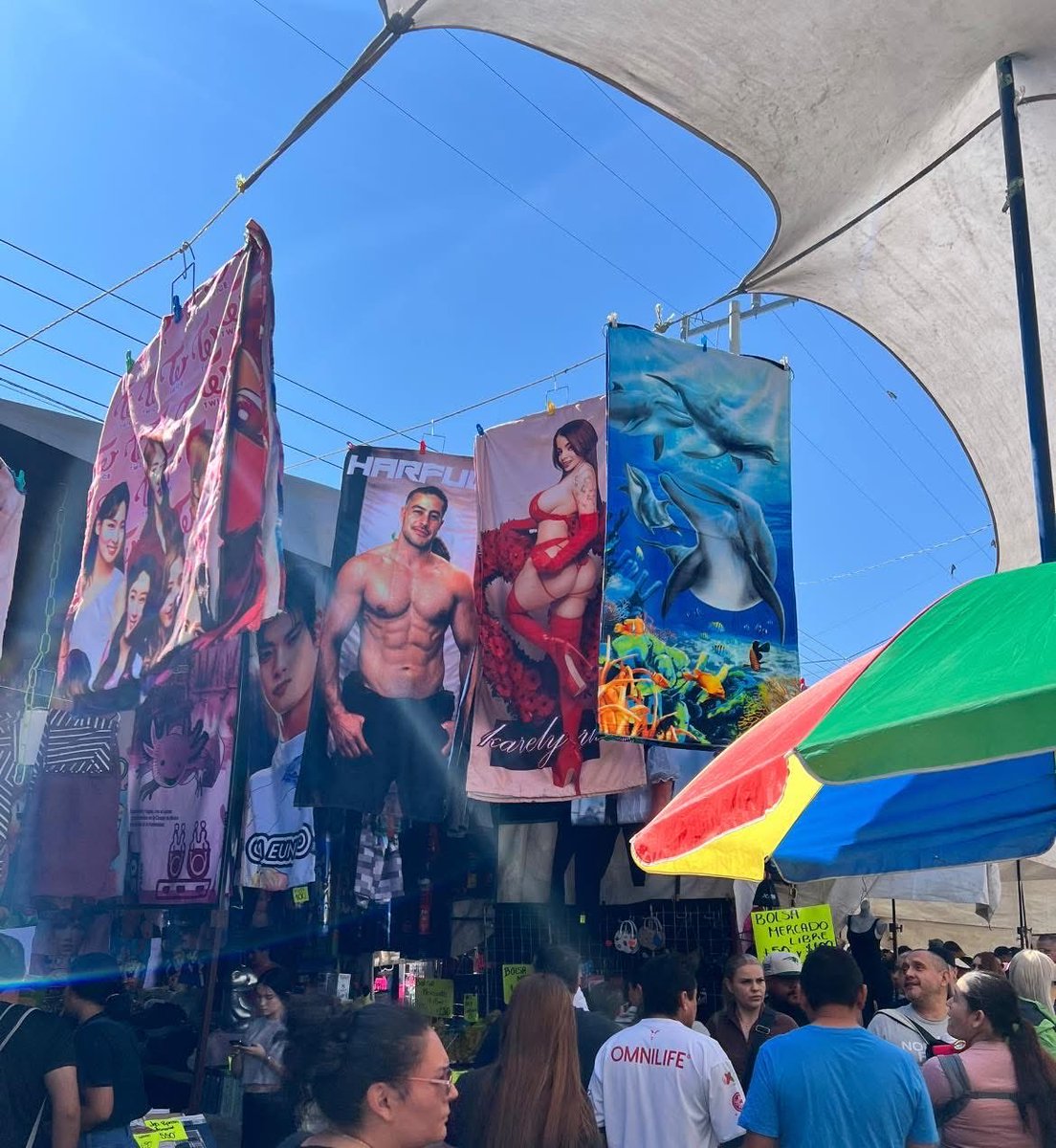 A L e 𝕏 tweet media