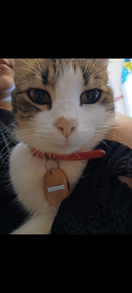 Vera ☭ tweet media