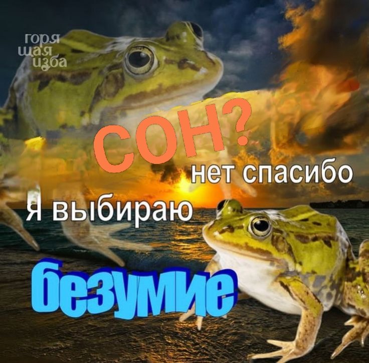 Даша и гиперфиксации🚬 tweet media