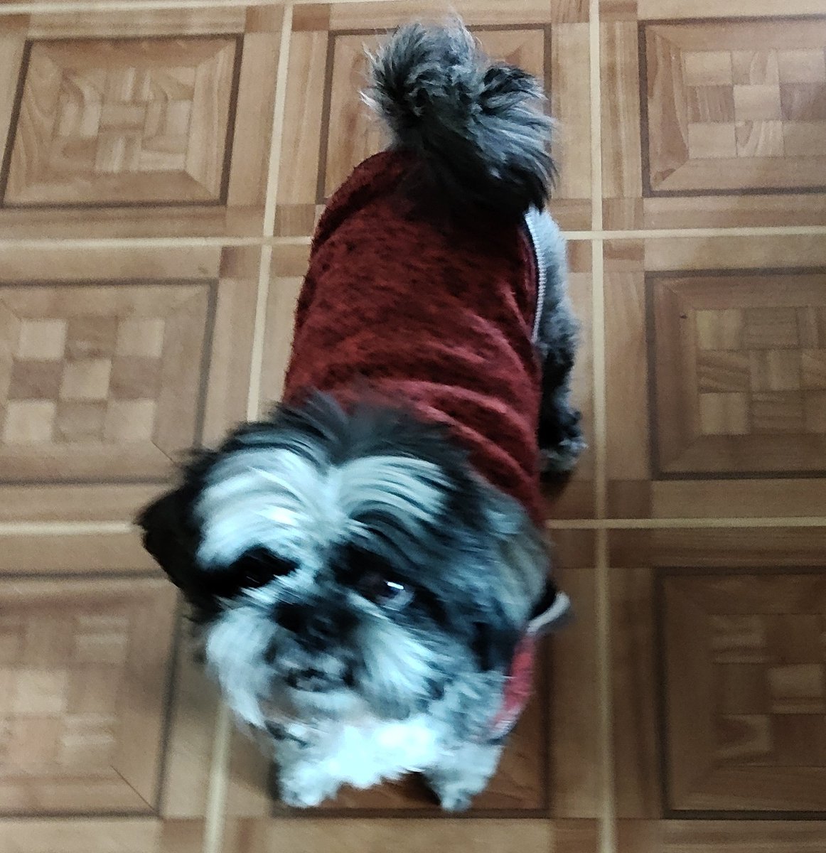 Evernight'nt tweet media