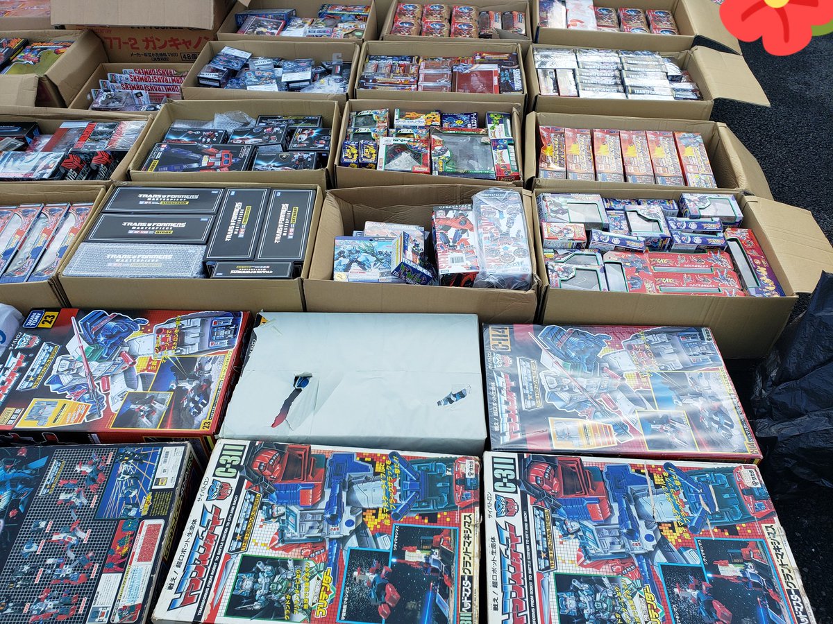 マキシマ tweet media