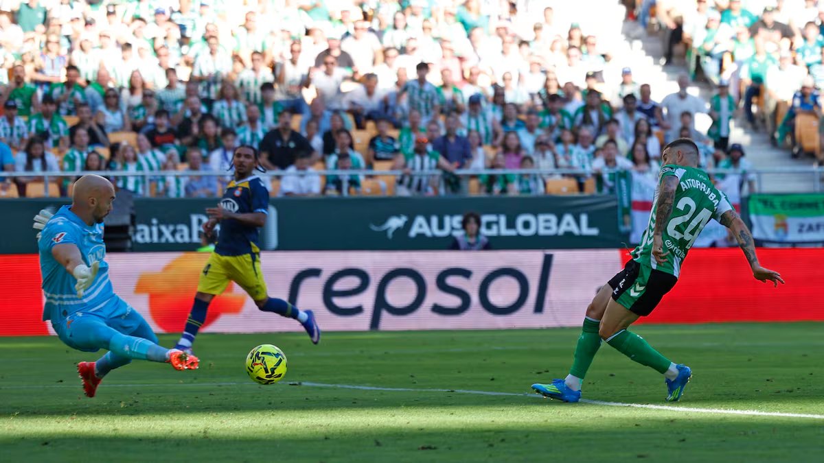 Pacheta21 tweet media