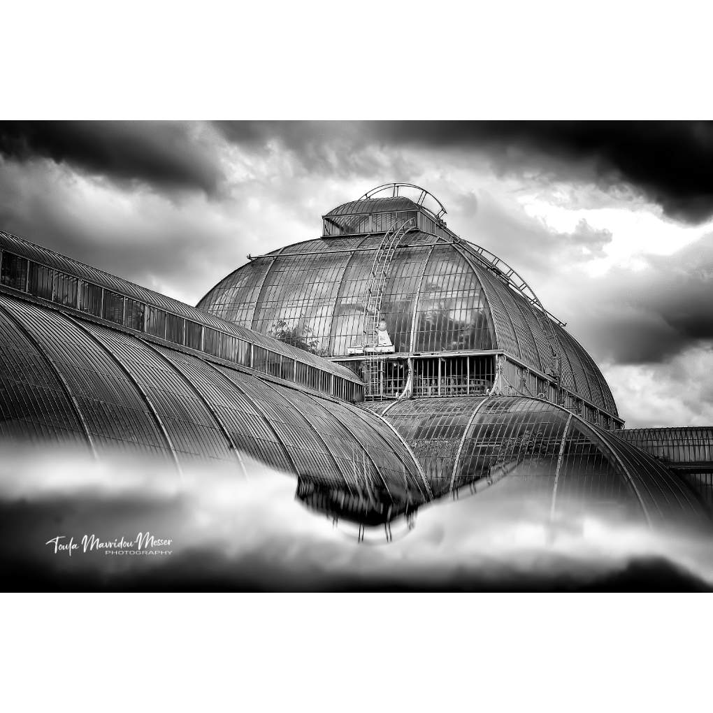 Toula Grayce Mavridou-Author & Photographer-No DMs tweet media