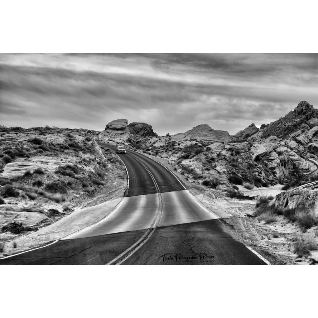 Toula Grayce Mavridou-Author & Photographer-No DMs tweet media