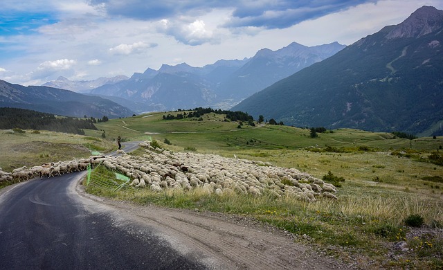 Jennifer Thornton tweet media