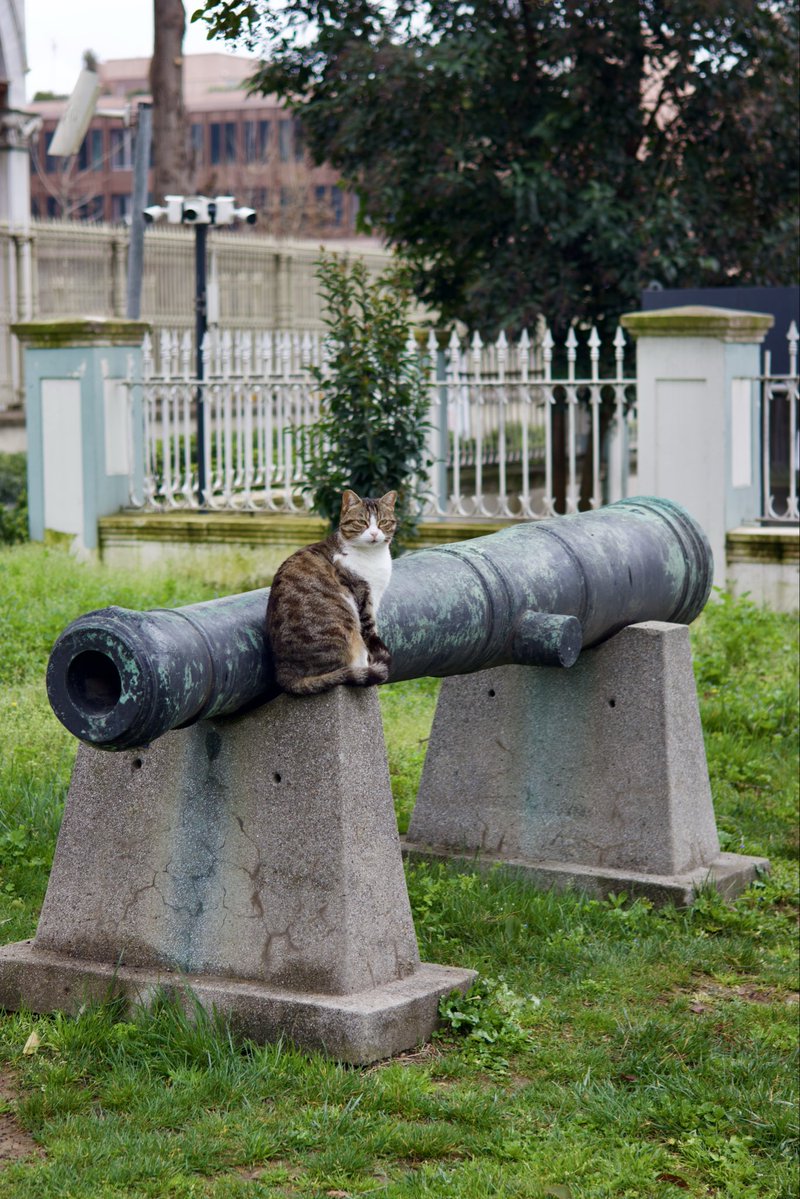 🚴🏻♀️SeboPTO⚡️📸➰ tweet media