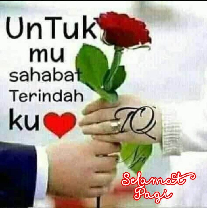 Mr. Rice Cake tweet media