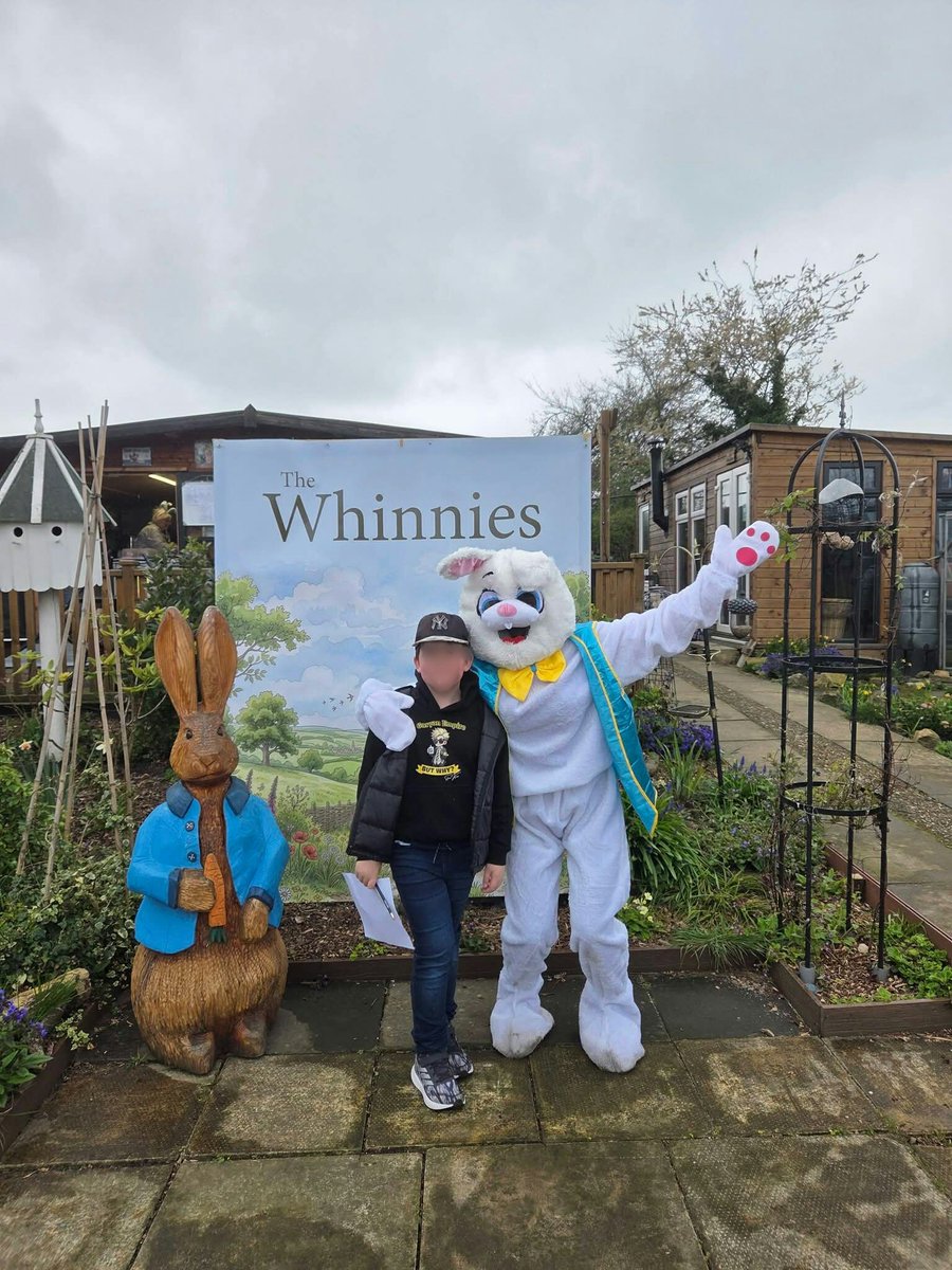 💚 P 🪴 tweet media