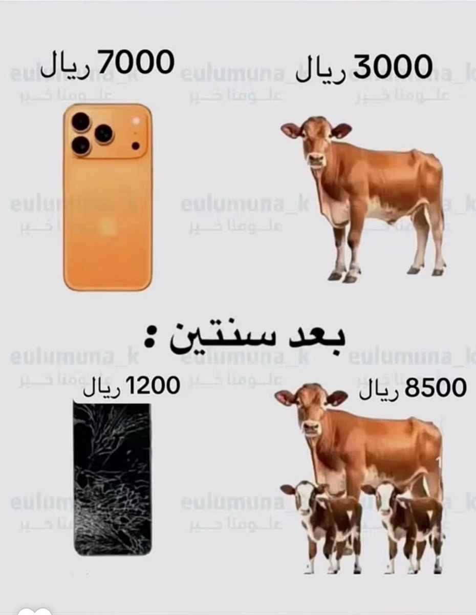 ديــــم العـــنـــزيـــة 🕊️ tweet media