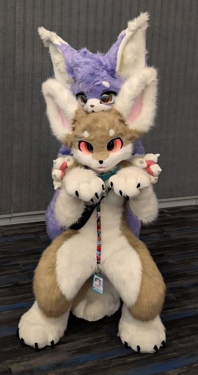 Budkip 🔜 AC tweet media