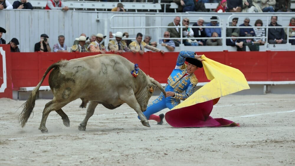 La Provence tweet media