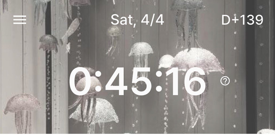 🪿.ᐟ tweet media