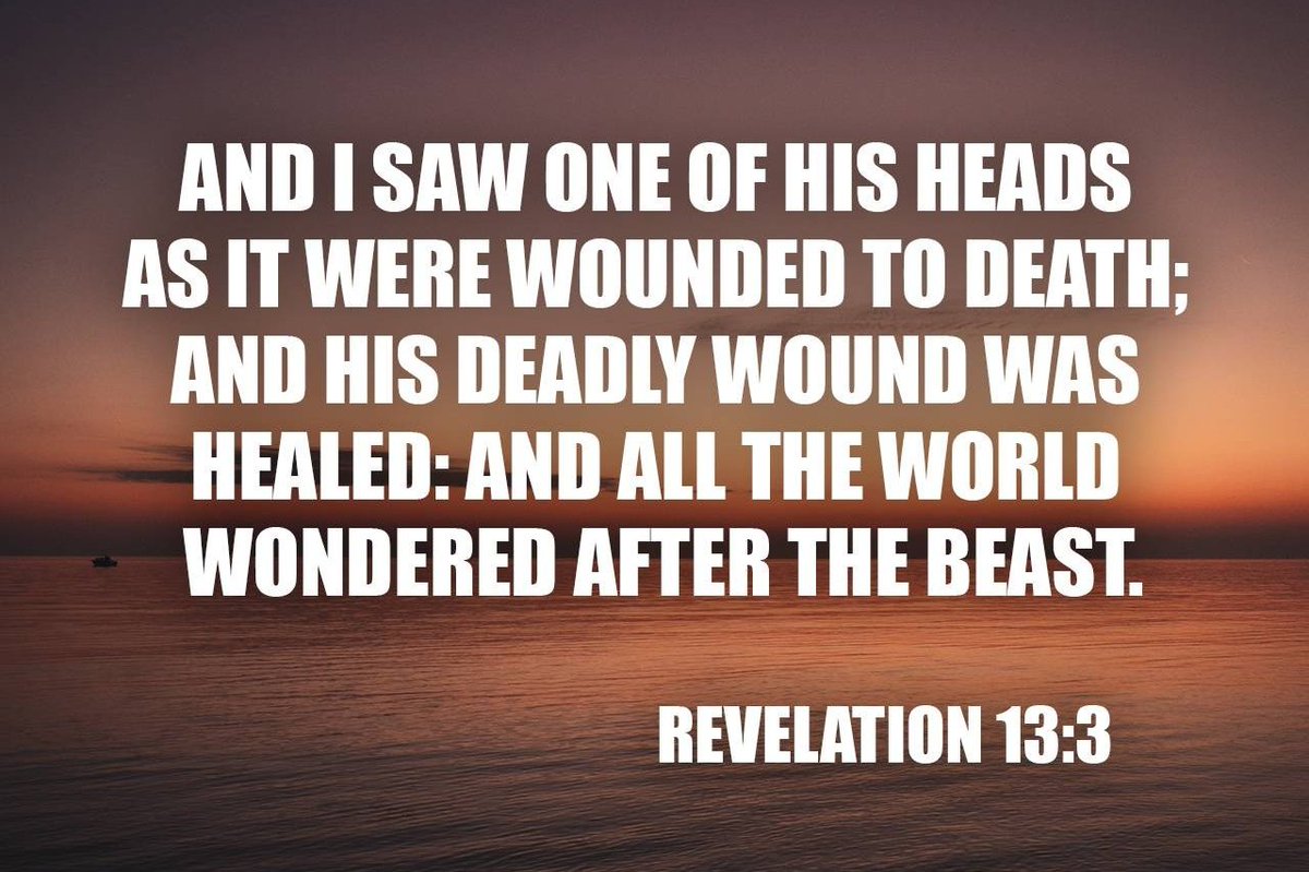 silverbladeTE tweet media