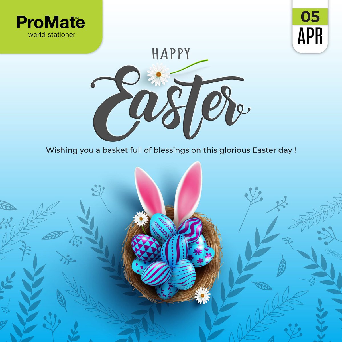 ProMateWorld's tweet photo. https://t.co/tp53b8H0EZ