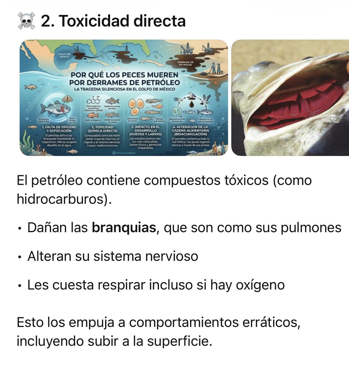 PEDRO FERRIZ tweet media