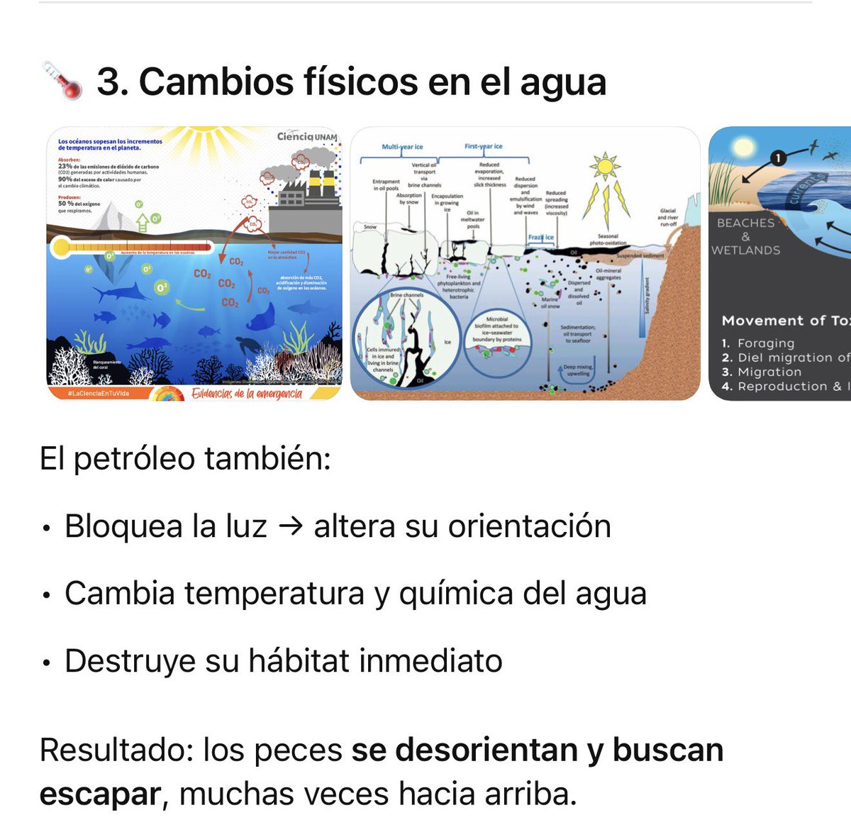 PEDRO FERRIZ tweet media