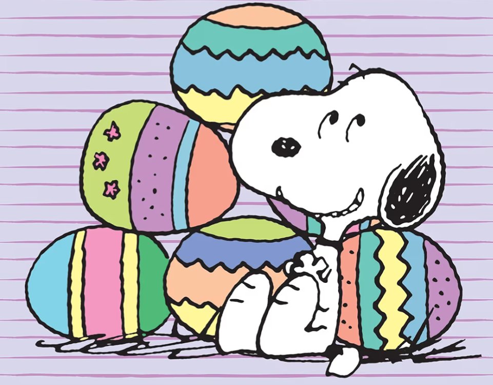 かま焚き🎏4/18.21,5/9,6/6,9/12.23 tweet media