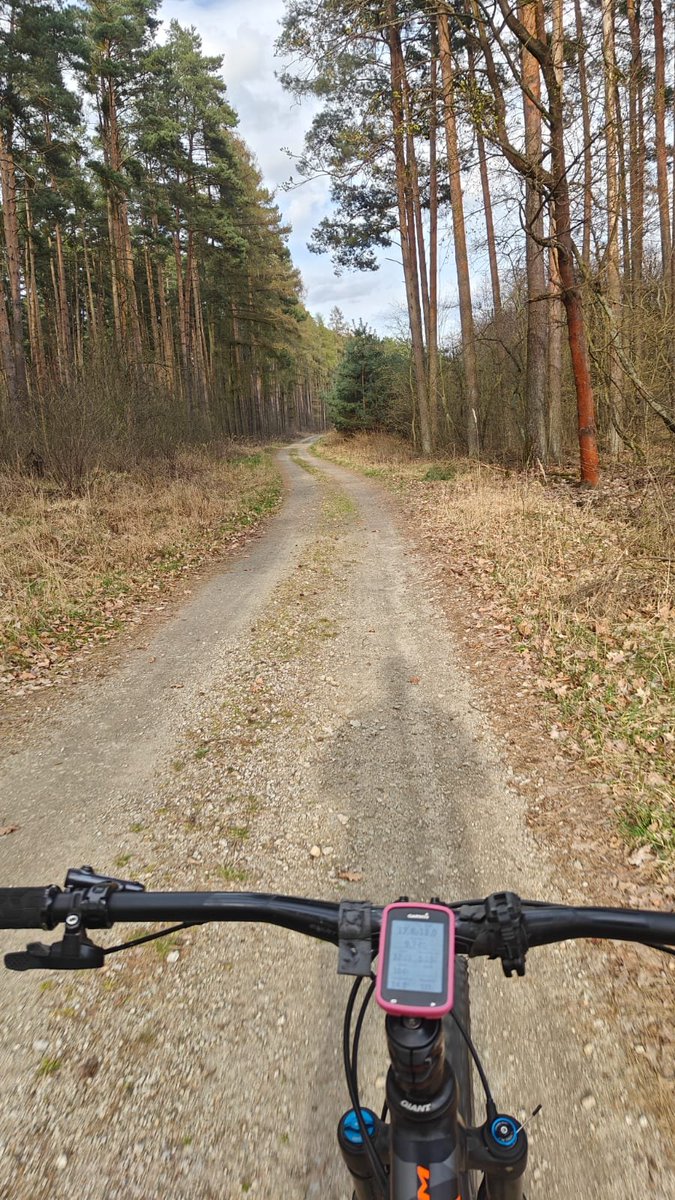 Last person tweet media