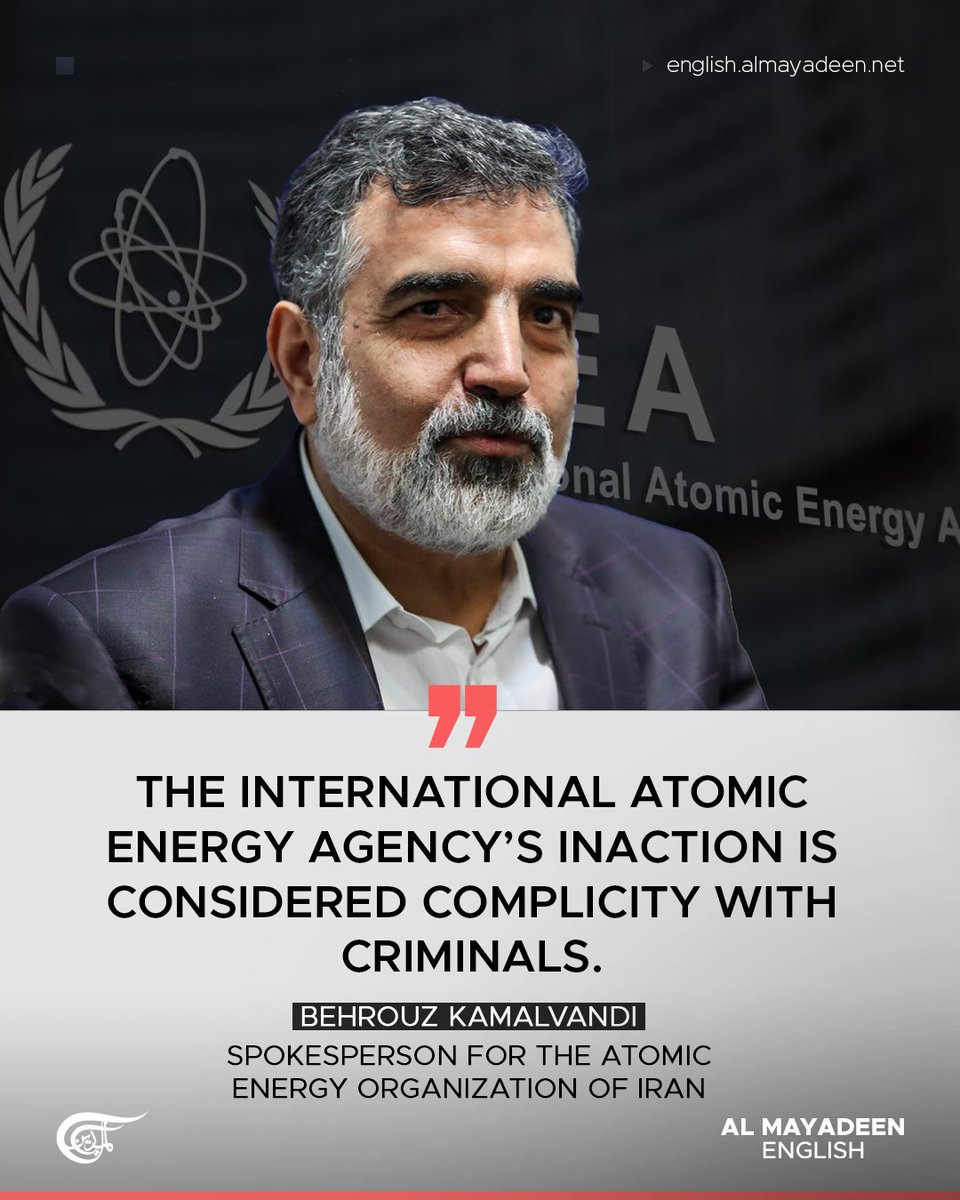 Al Mayadeen English tweet media